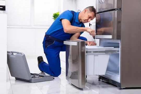 Walnut Appliance especialist