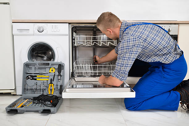Walnut Dishwasher Repair
